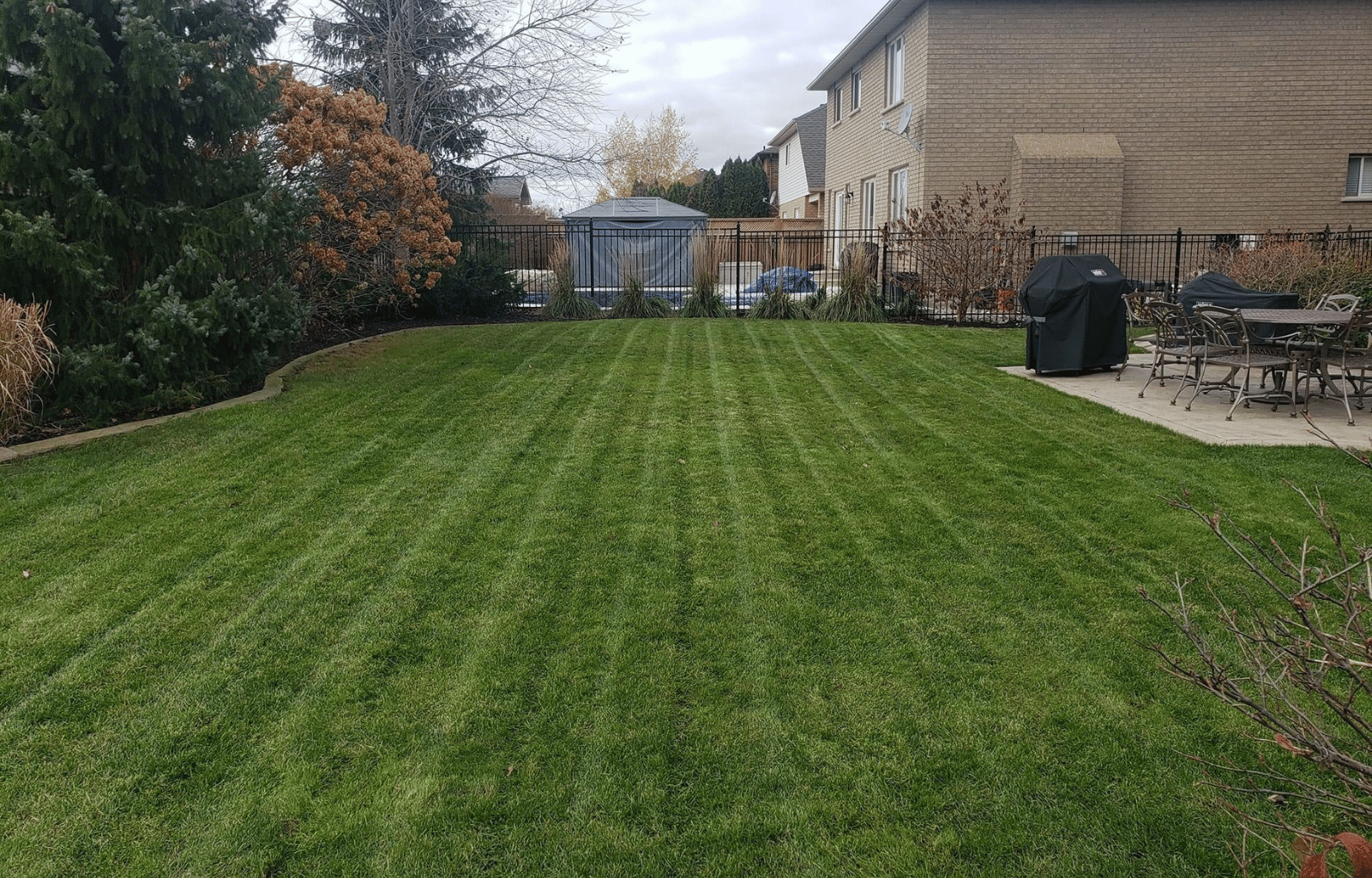 Lawn Care Edmonton