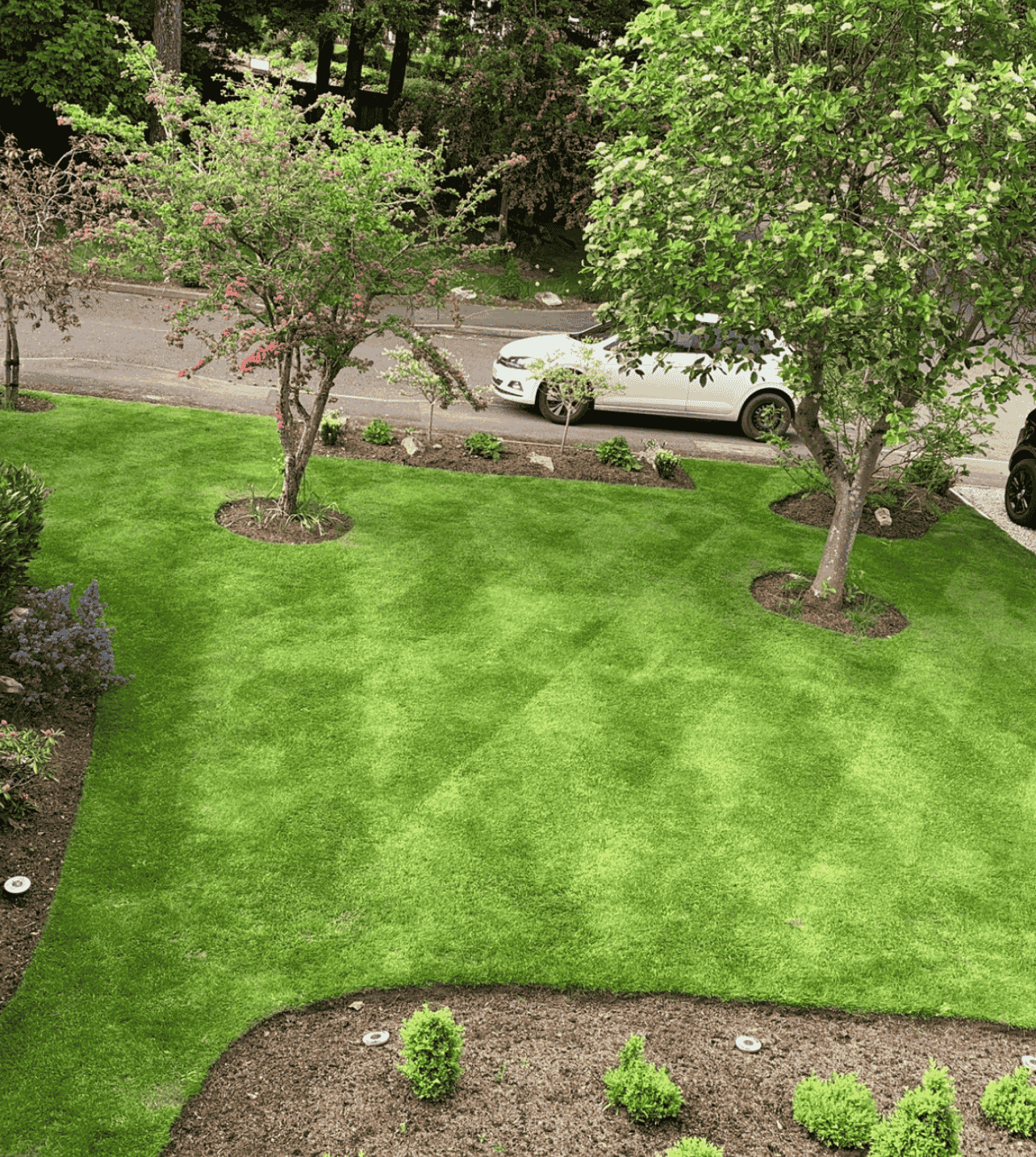 Well-maintained front yard with green lawn, small flowering trees, and landscaped bushes, with a street and parked cars in the background.