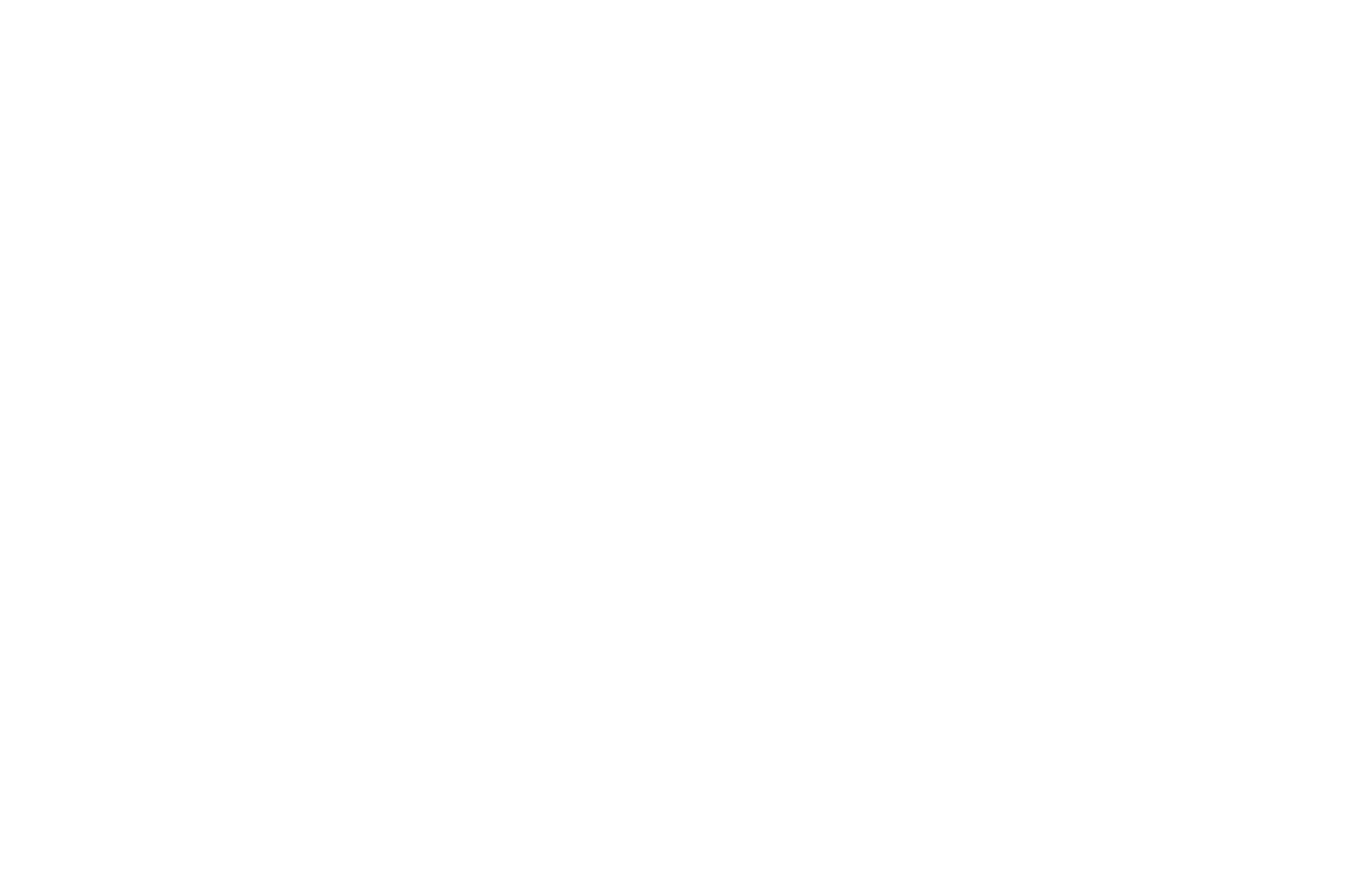 the OWLiNG LOGO DRIPS White.png