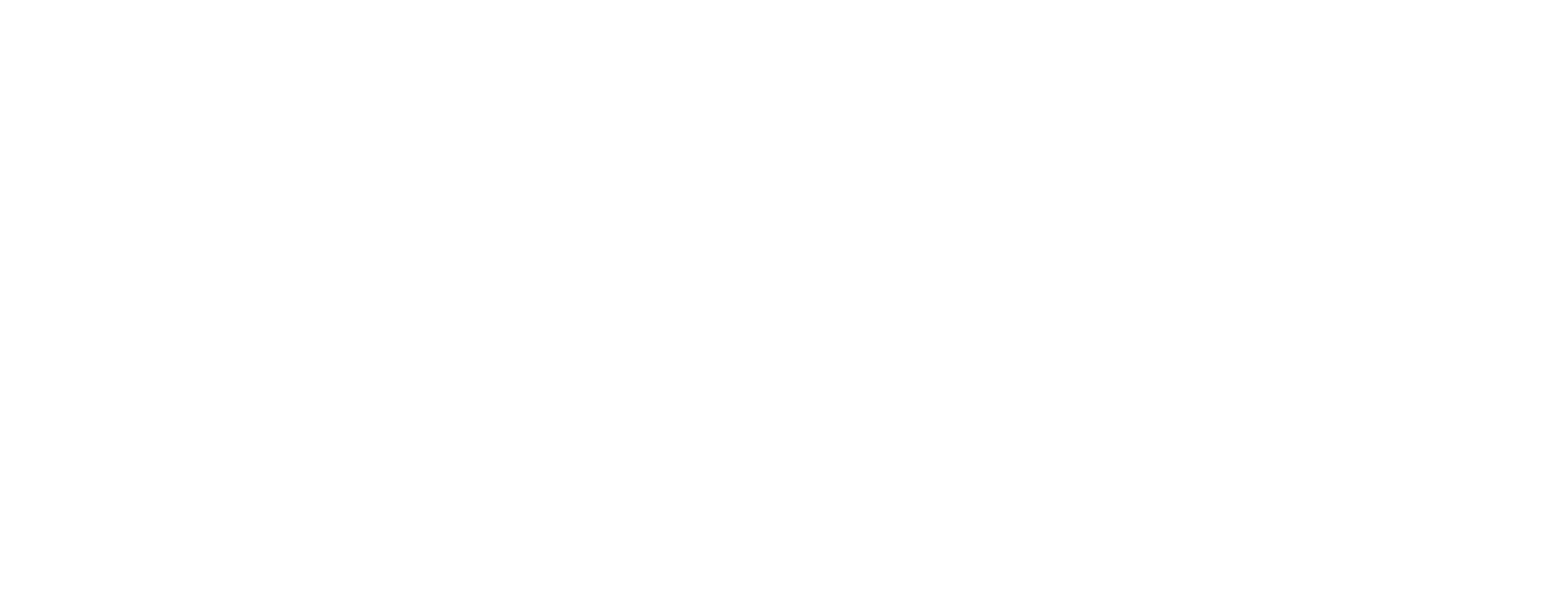 the OWLiNG LOGO CLEAN White.png