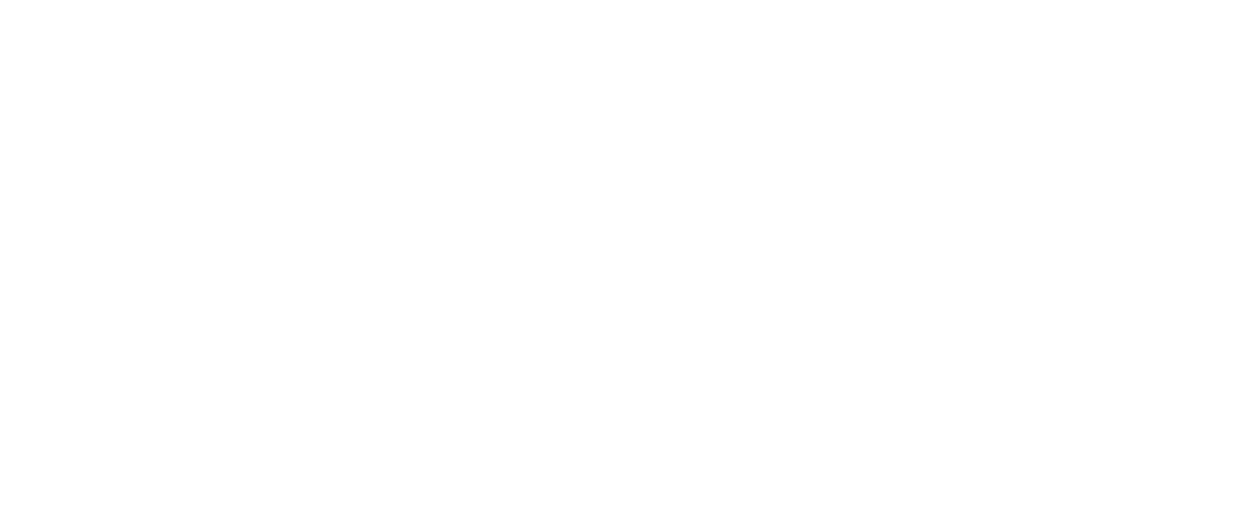 the OWLiNG - white Logo