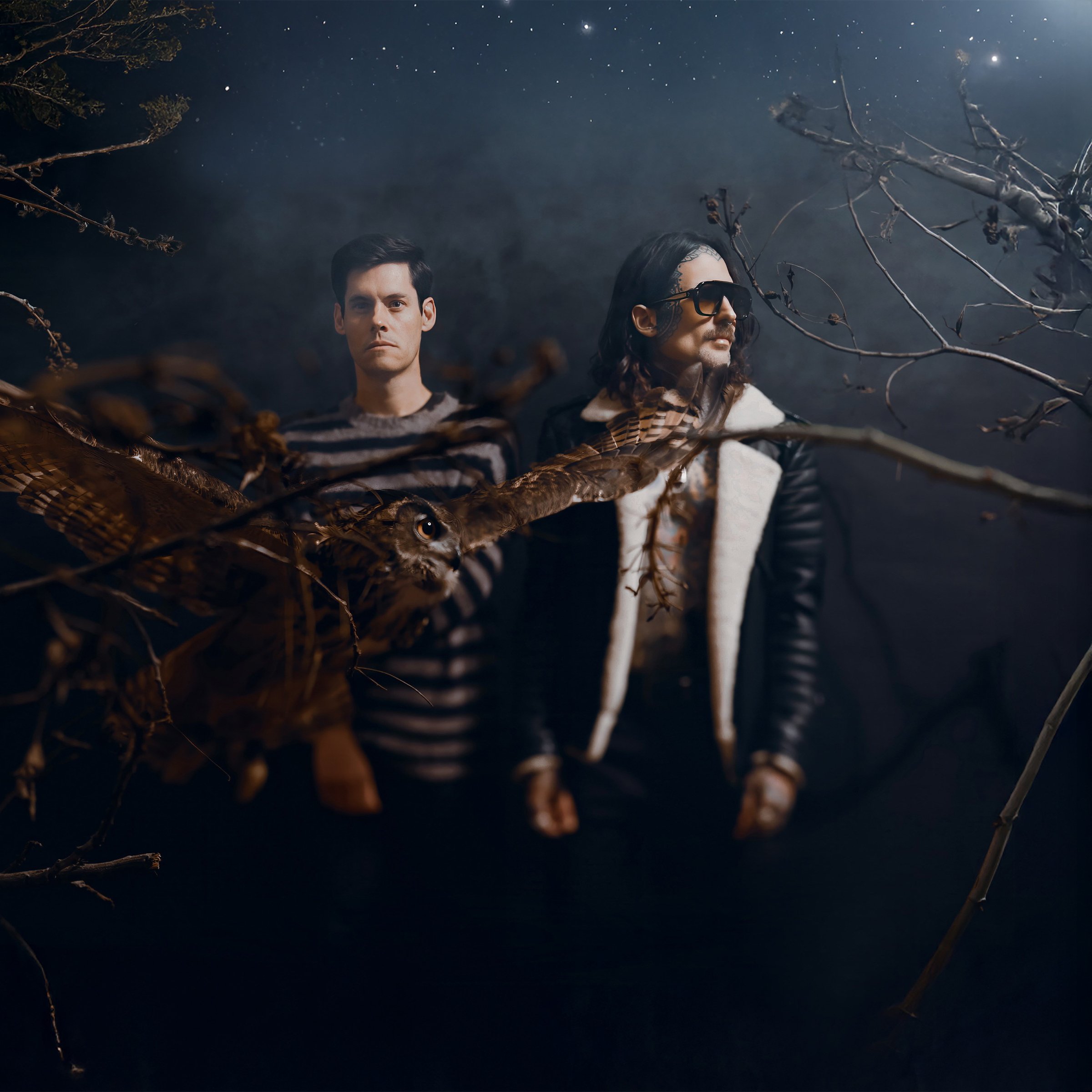 the OWLiNG - Official Website | Music, Media, Tour Dates, etc.