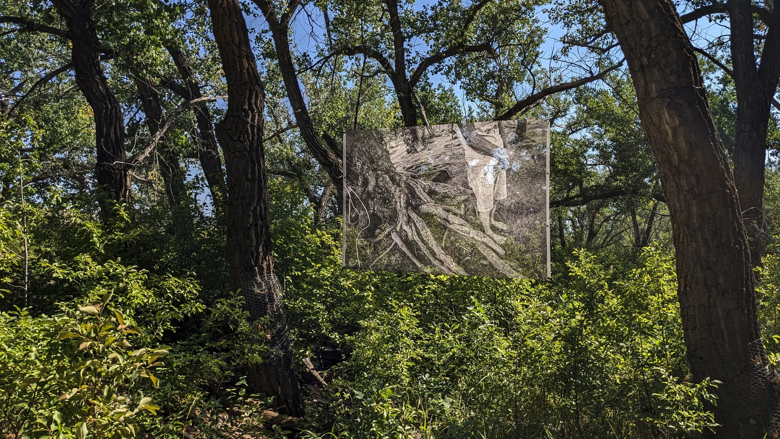Andrés Felipe Valenzuela Parra
