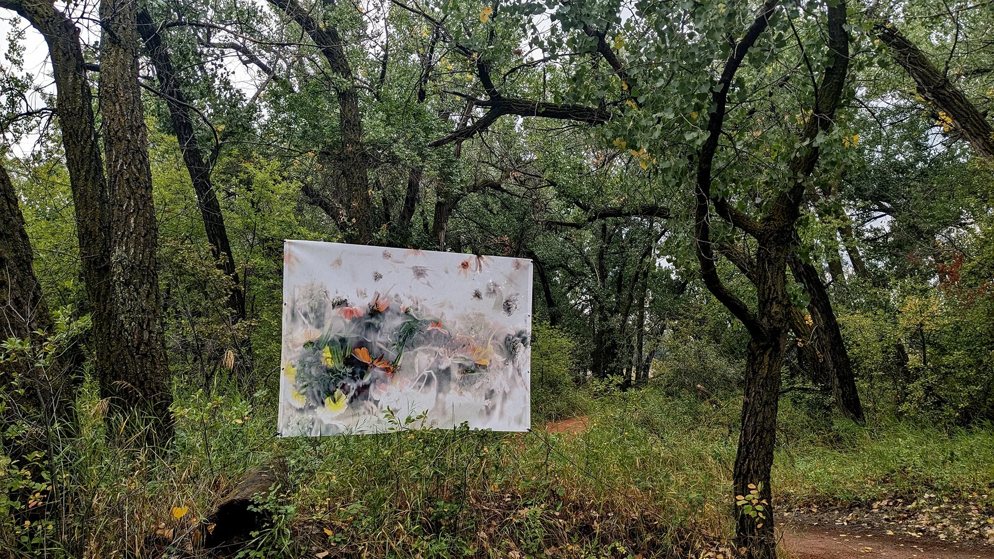 Jonathan Onsuwan Johnson