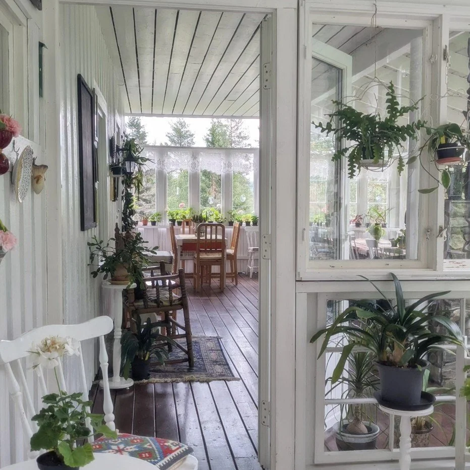 Screenshot 2026-02-01 161649.jpg