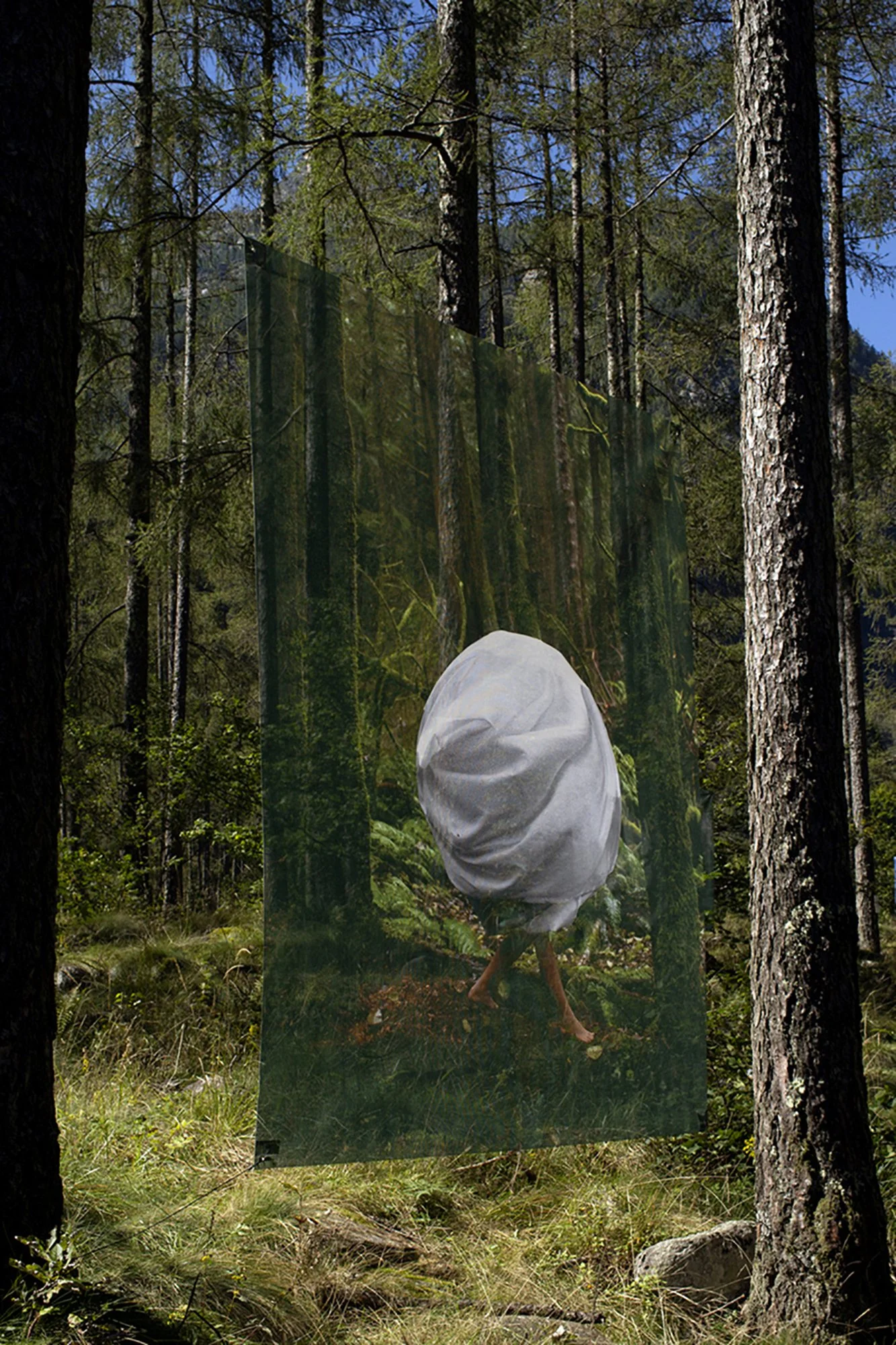 ellyheise_Homebound close up.jpg