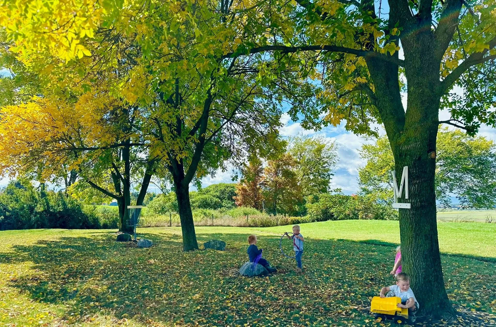 Children sitting in the shade under trees in early fall playing.