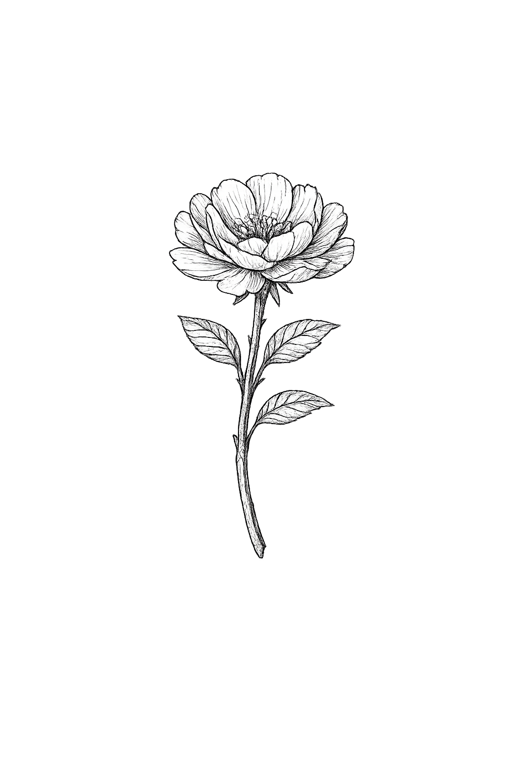 Black and white drawing of a single rose with detailed petals and leaves, set against a black background.