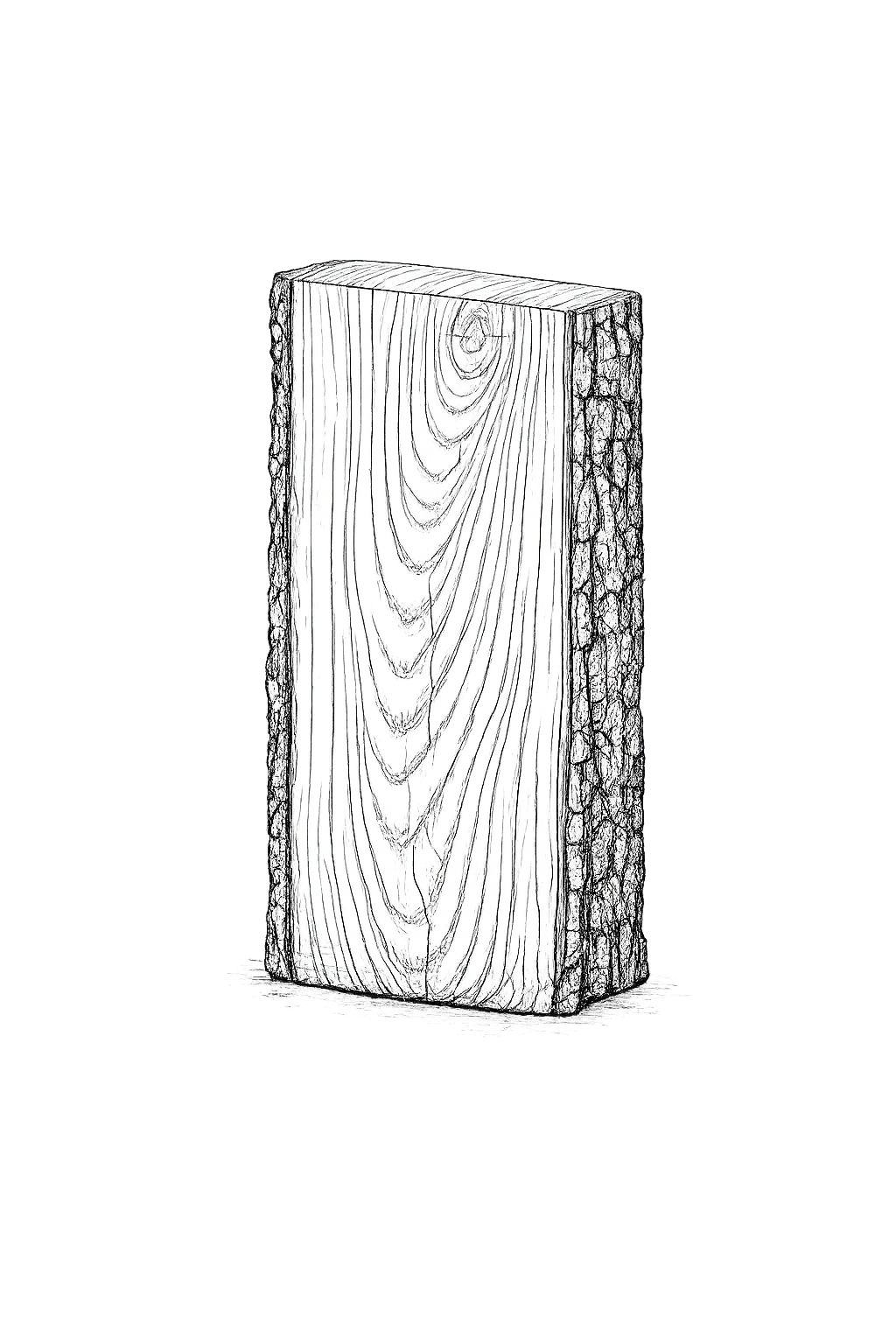 Black and white drawing of a wooden log with bark on its sides, standing upright. The background is black, emphasizing the log's detailed wood grain and textured bark.