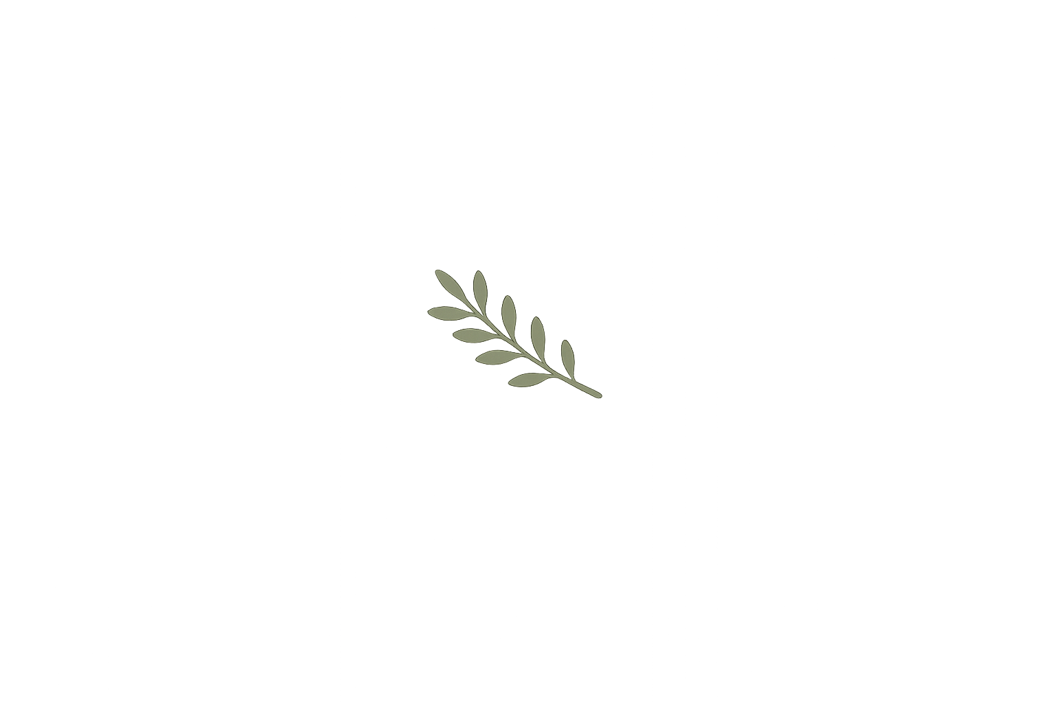 A minimalist illustration of a single green olive branch with multiple leaves on a black background.