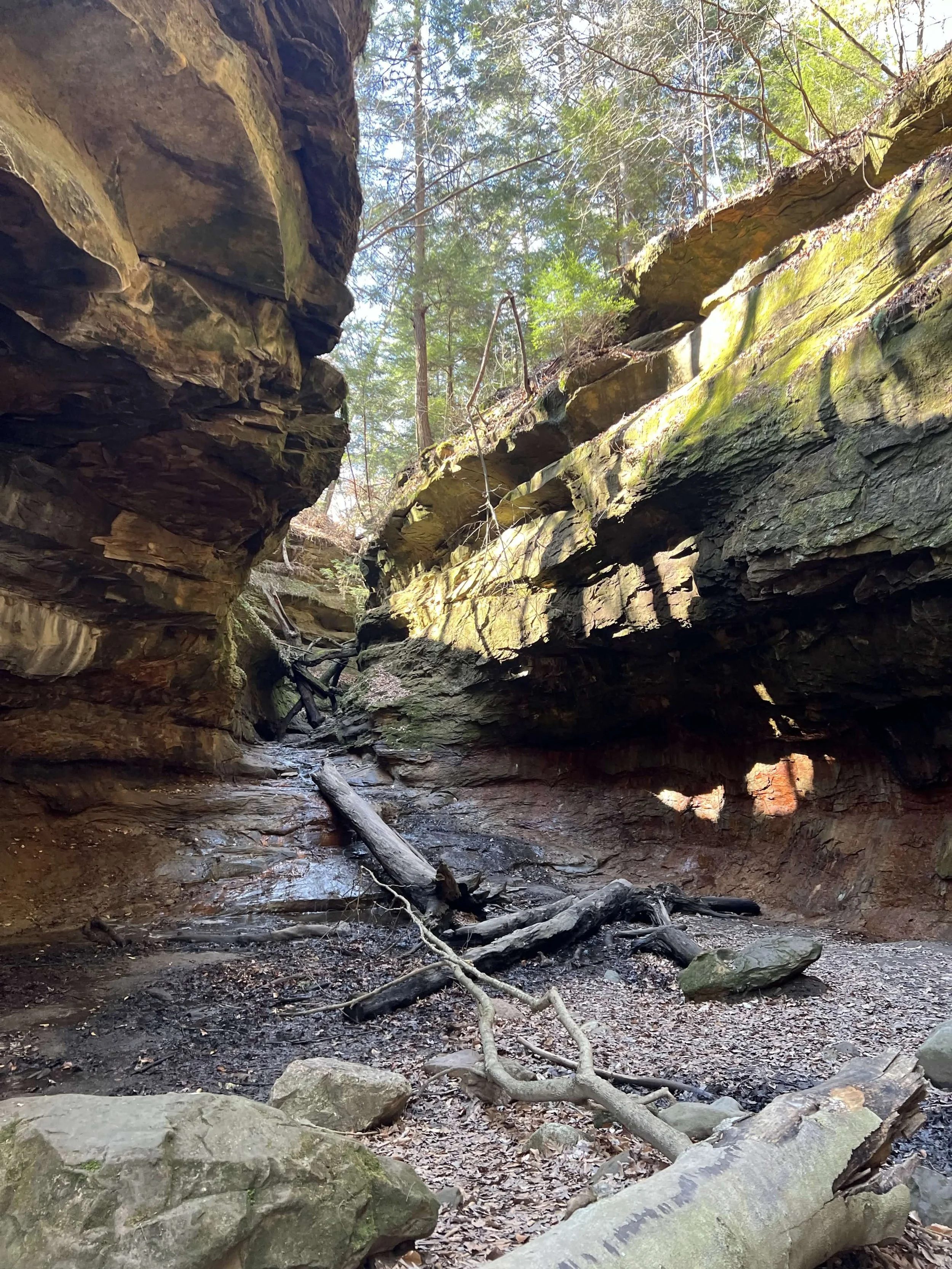 Maggie state park 1.jpg