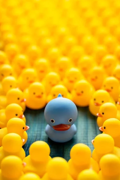 Blue Duck Bookkeeping for bookkeeping services that are different than the rest