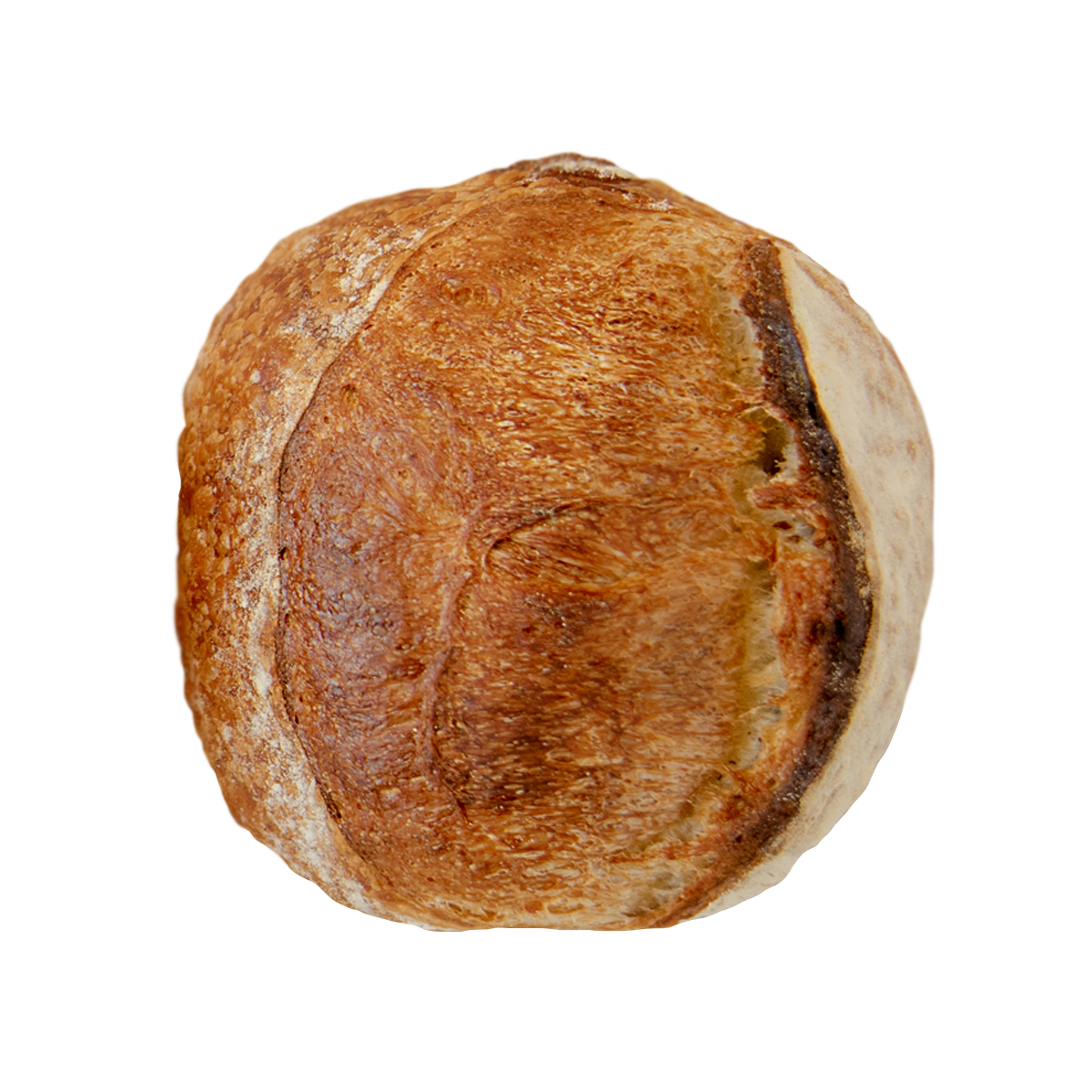 HOGAZA INTEGRAL BLANCA