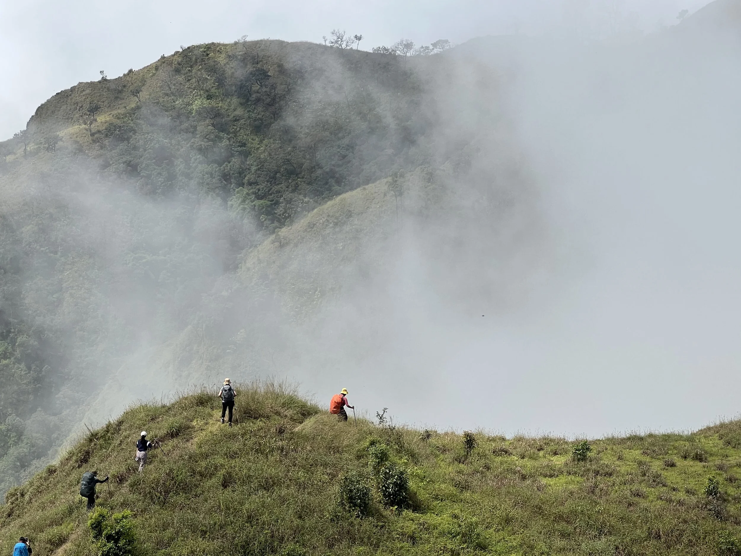 Local Voices Lead the Way