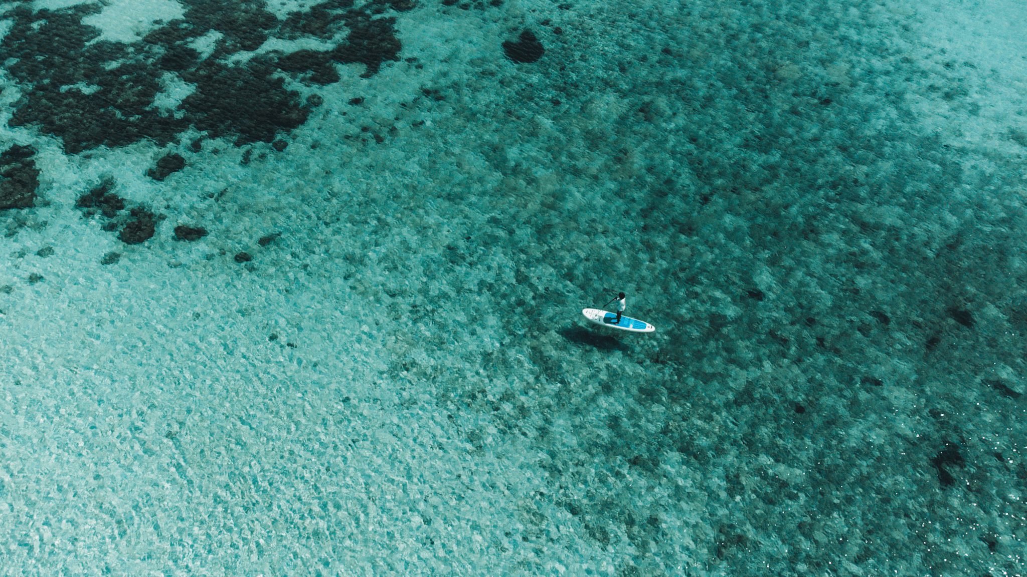 An image of The Float House