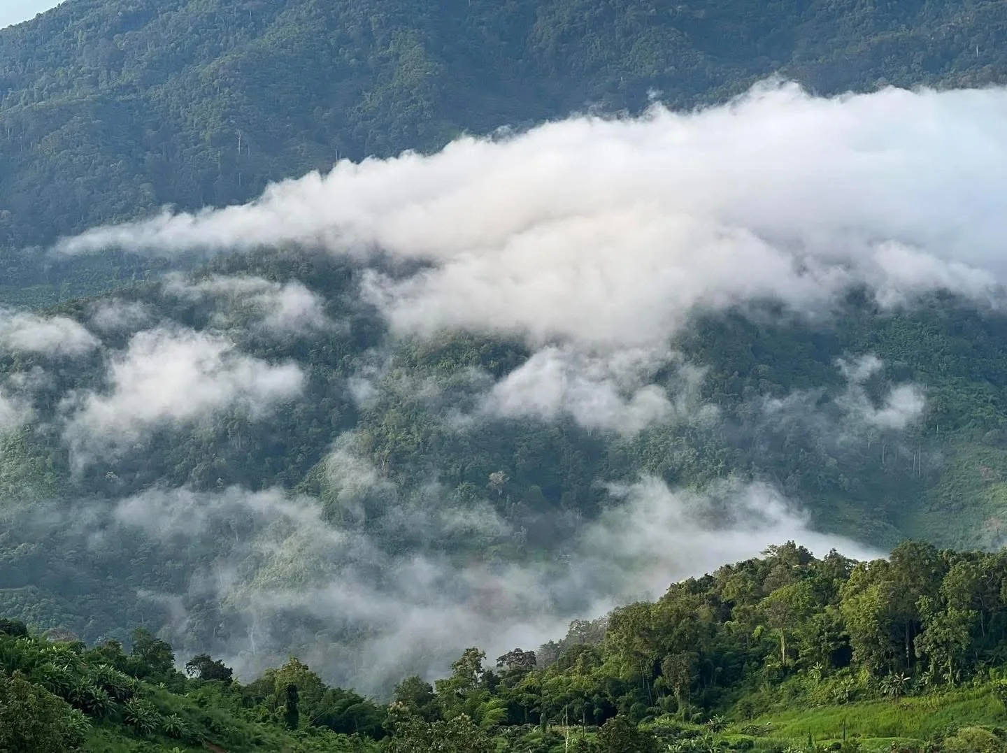 Chiang Mai Adventure Journey