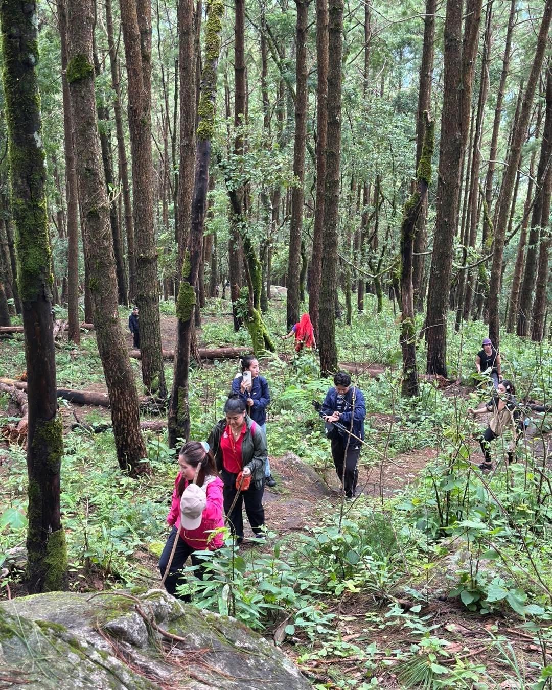 Chiang Mai Adventure Journey 