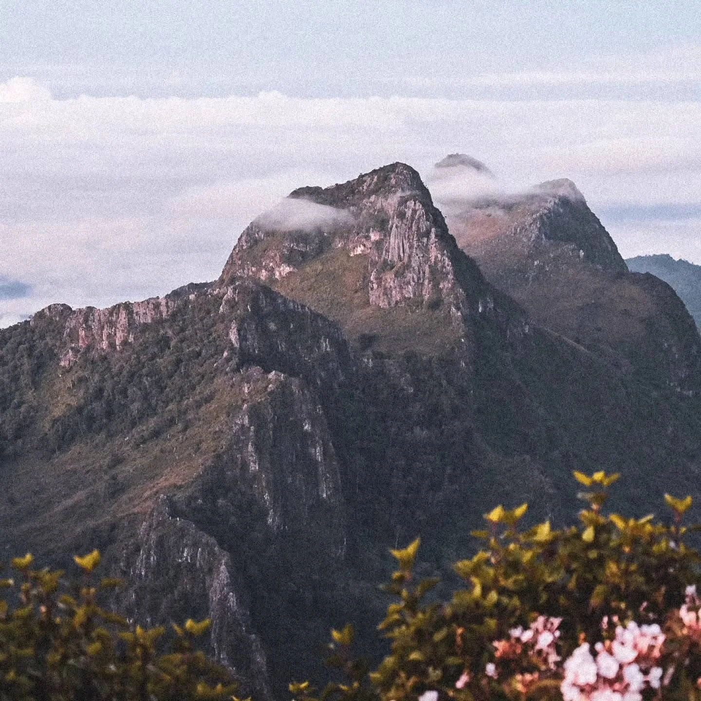 Doi Luang Chiang Dao 