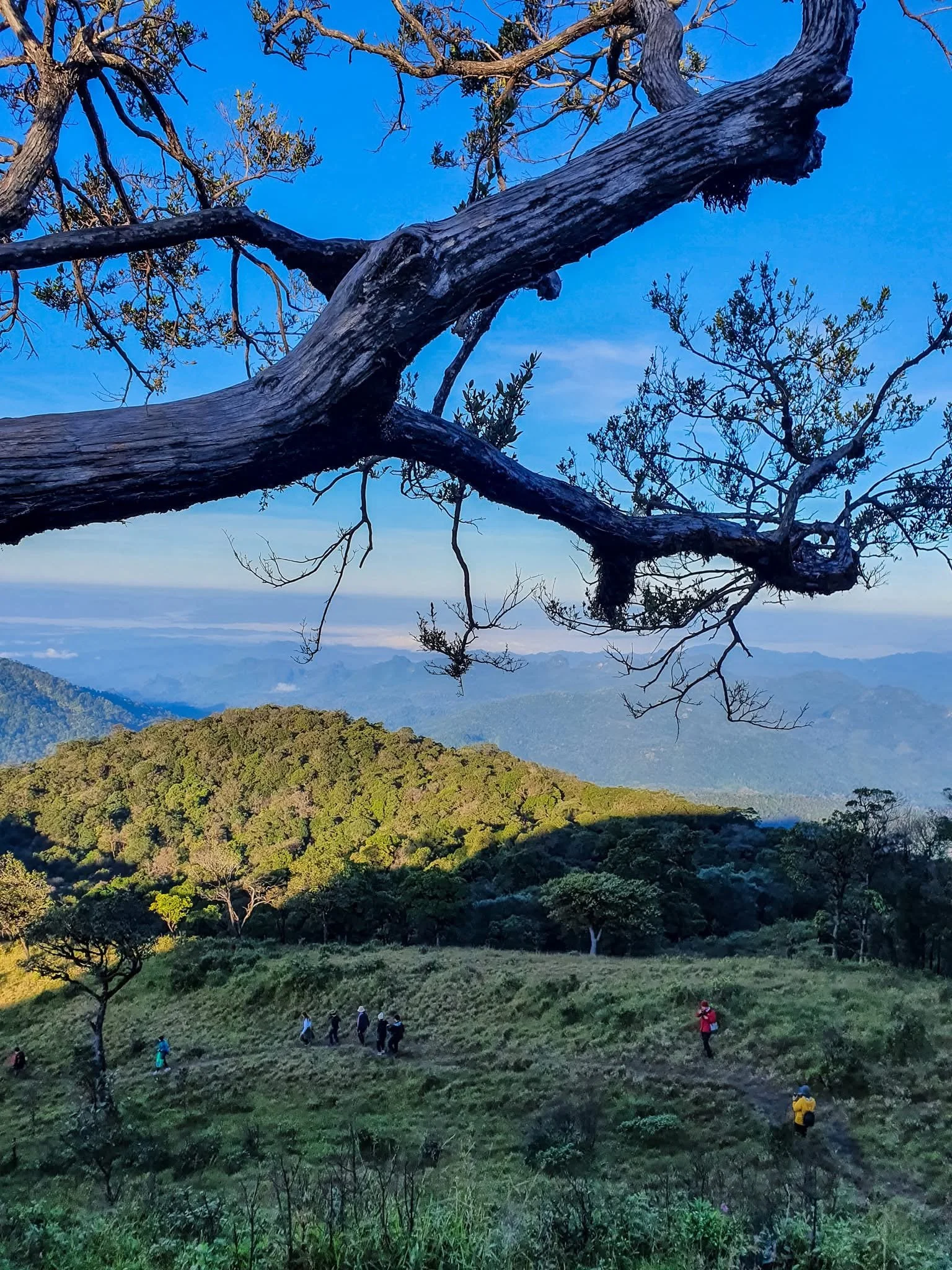 San Nok Wua (Cow Ridge) Trek 