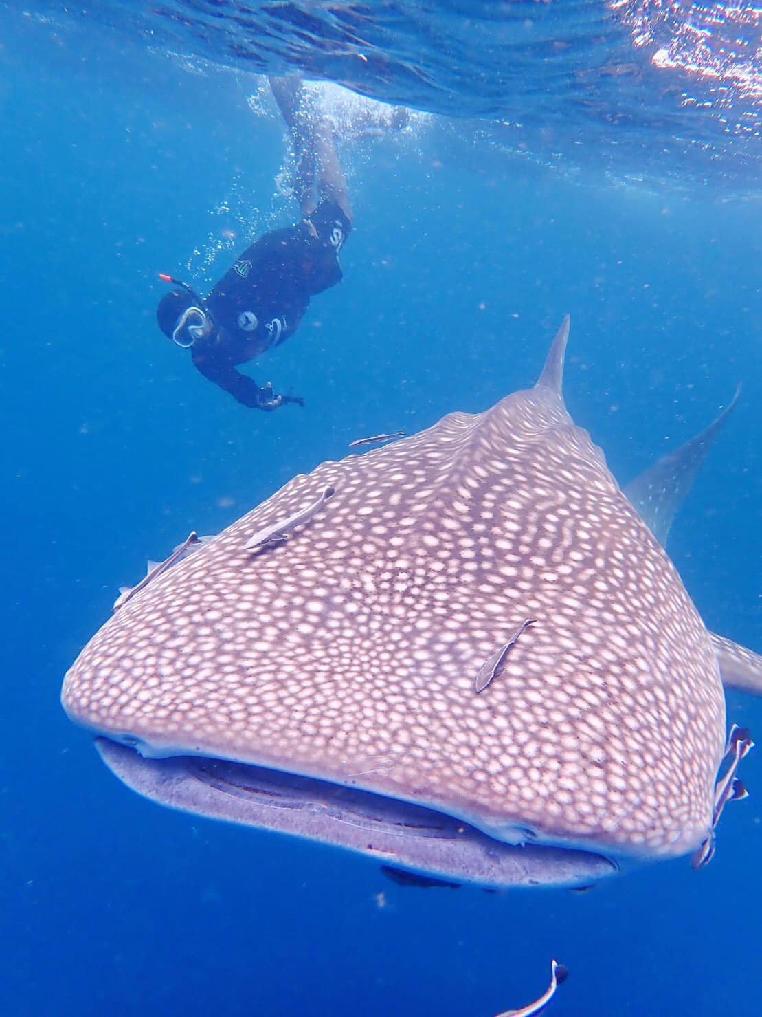 Southern Thailand Adventure