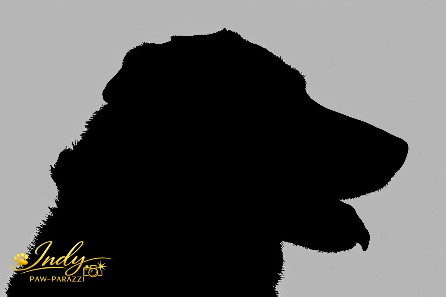 Silhouette (1).jpg