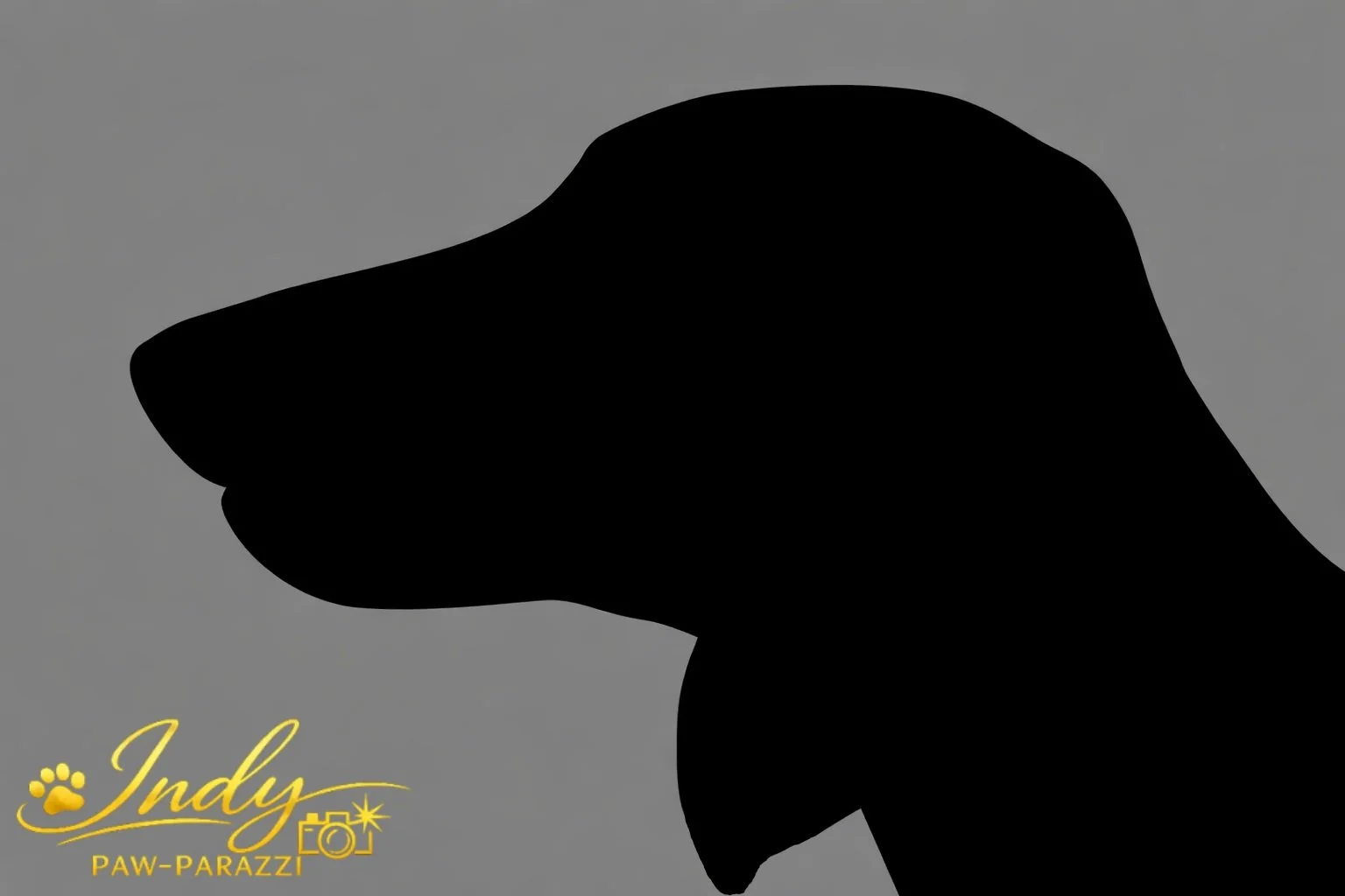 Coop silhouette .jpeg