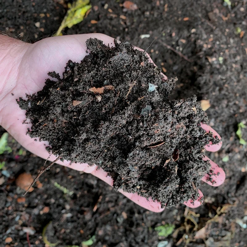 soil2.jpg