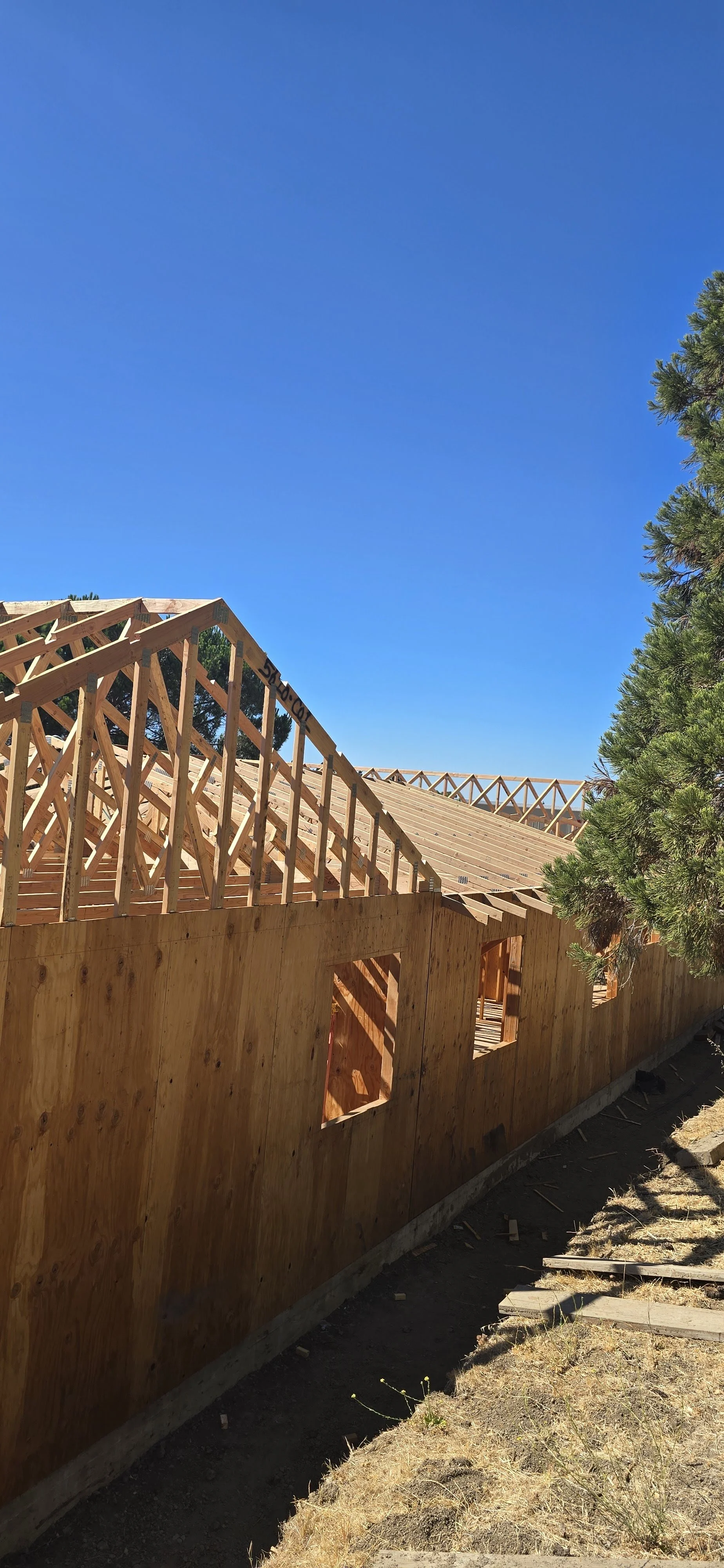 Wooden framing of a building under construction with a bright blue sky and a tree on the right side.