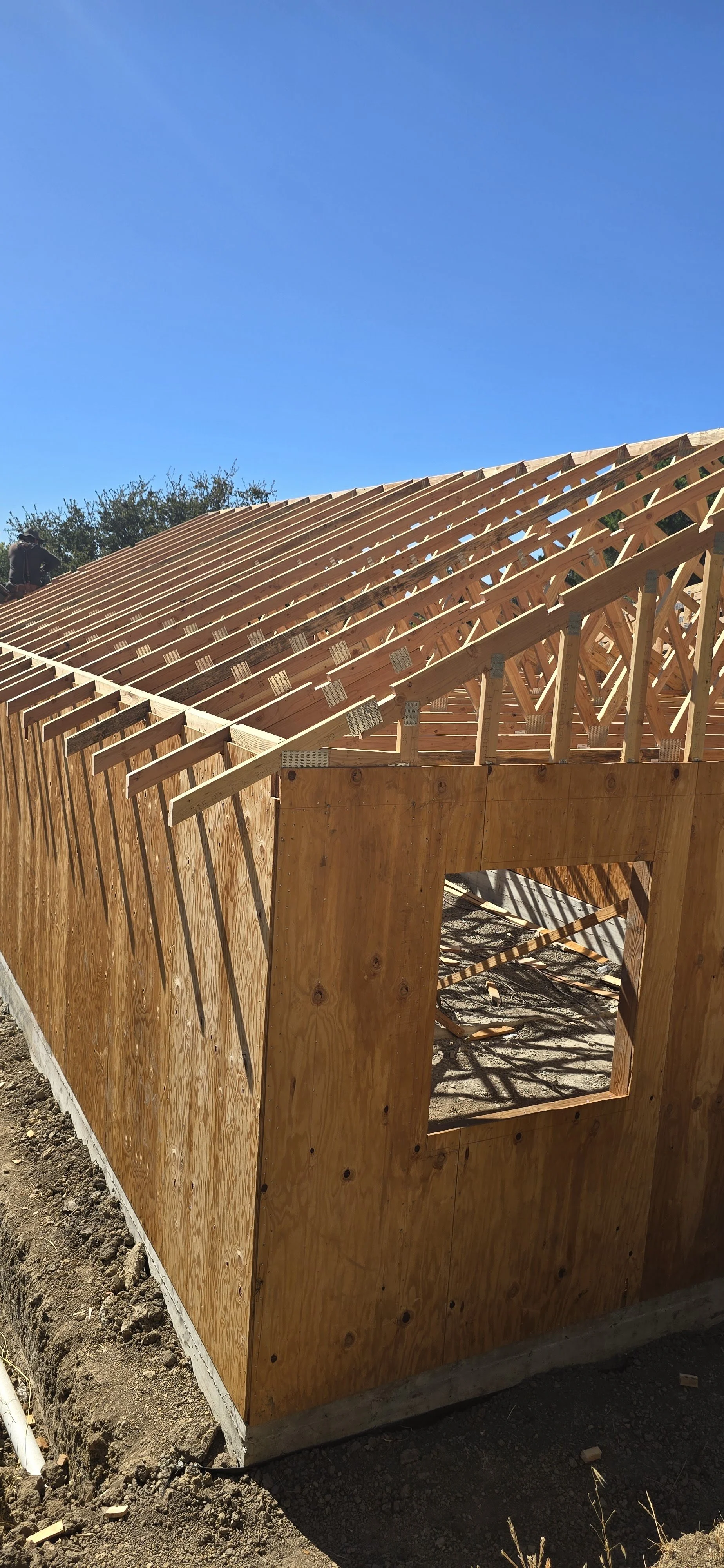 Wooden building under construction with roof framing and a window opening, clear blue sky in the background.