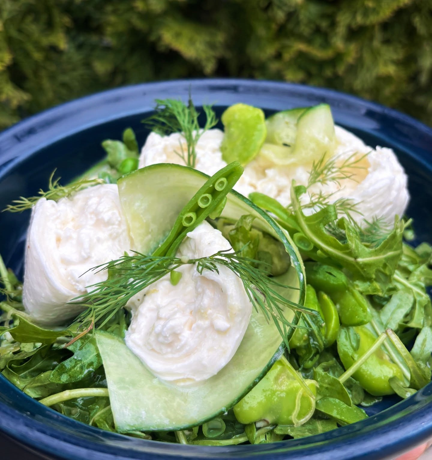 🌱 Spring Burrata Salad &bull; sugar snap peas, fava beans, cucumber ribbons, leek, lemon dill vinaigrette, arugula 🍋