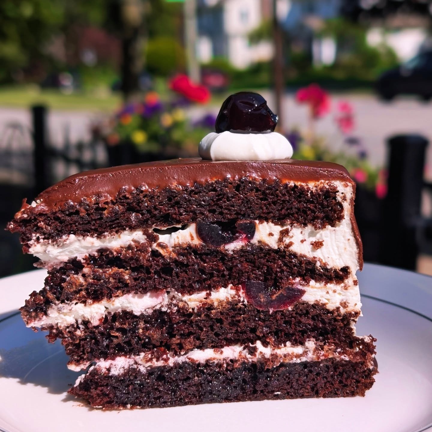 Decadent Black Forest Cake 🍒fluffy, rich, and so delicious 🙌