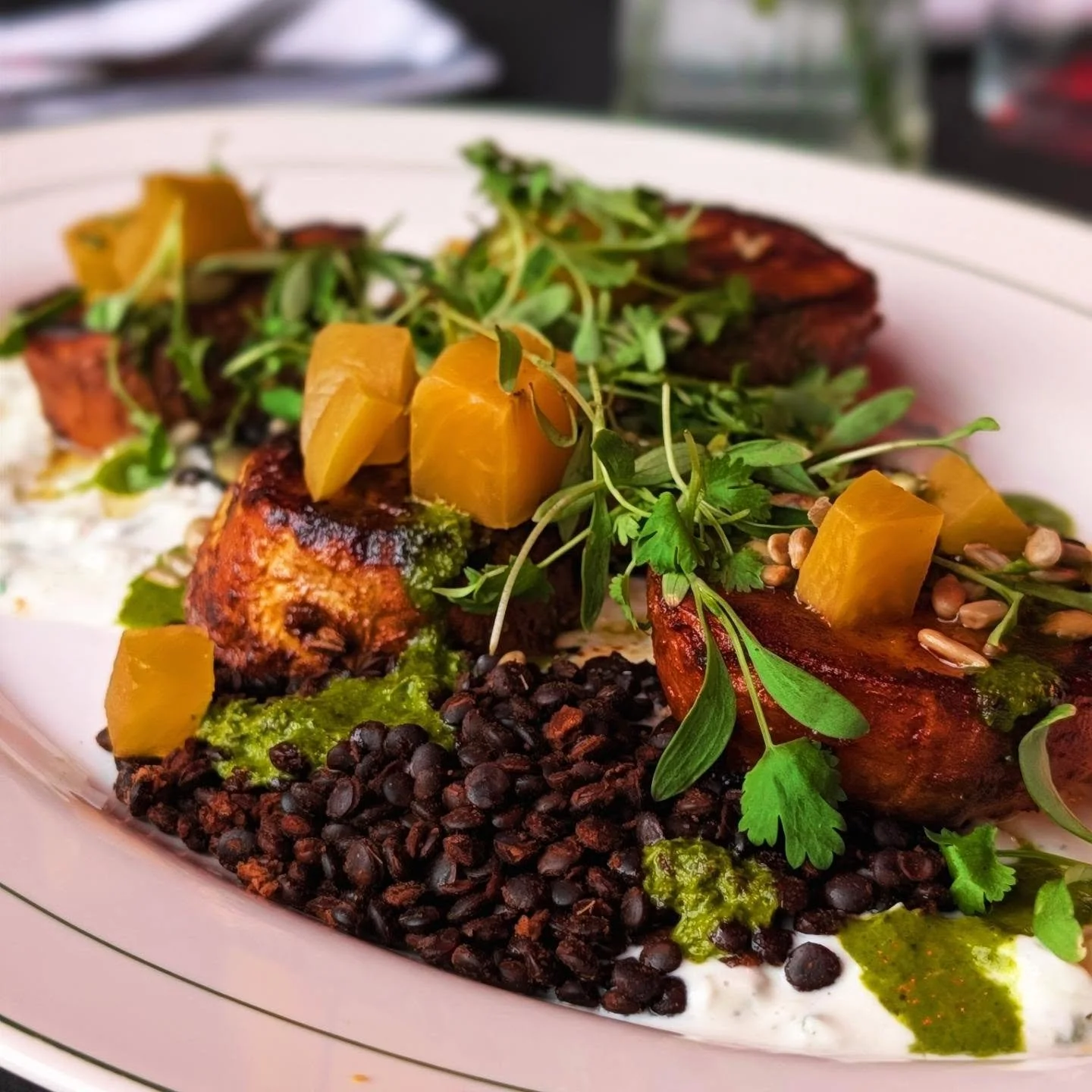 Miso Maple &amp; Fresh Thyme Caramelized Sweet Potato with beluga lentils, spiced Greek yogurt, chimichurri, pickled golden beets, toasted seeds, micro-cilantro
