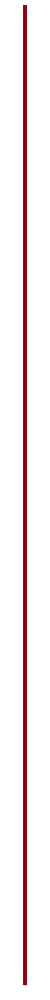 A Vertical Line