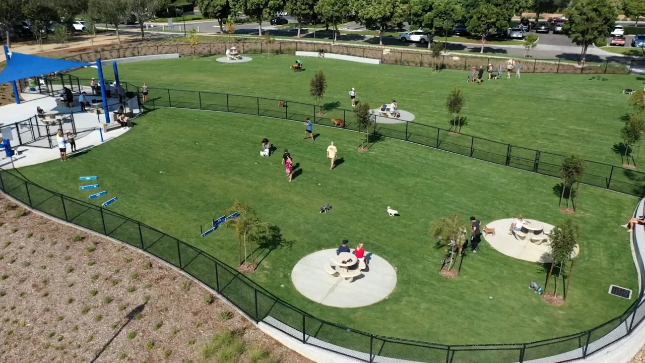10  Great Dog Parks and Dog Beaches in San Diego County
