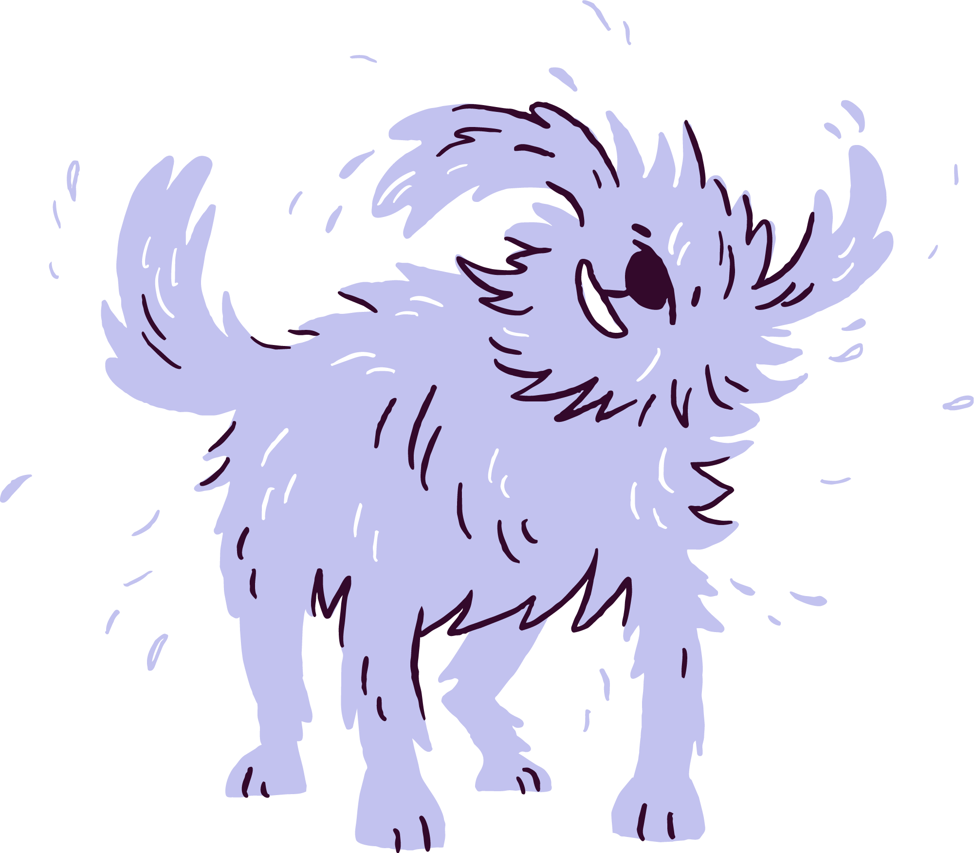 Mobile groomer San Diego