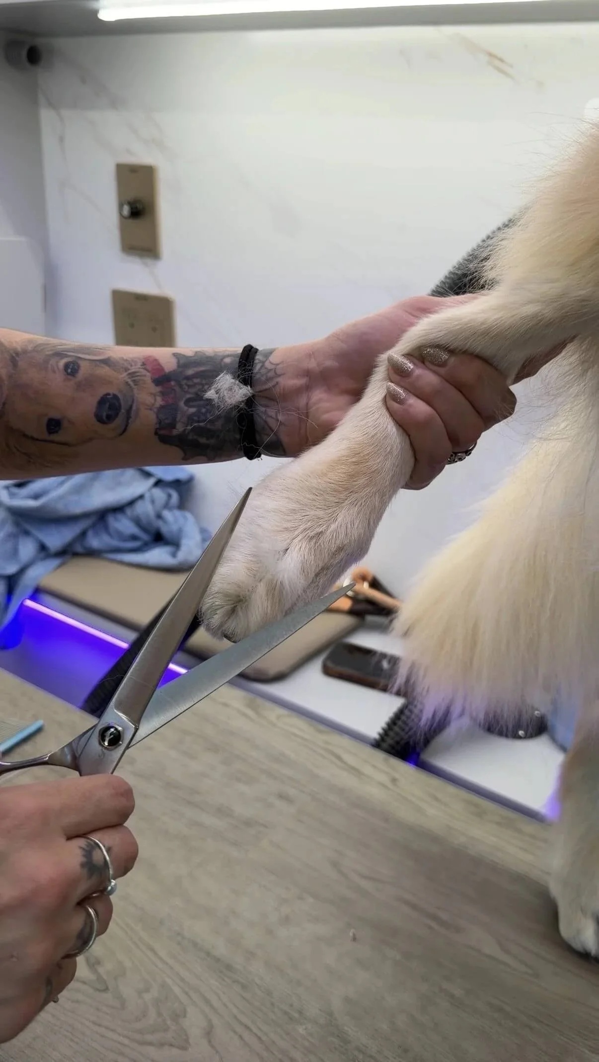 Dog nail trimming San Diego