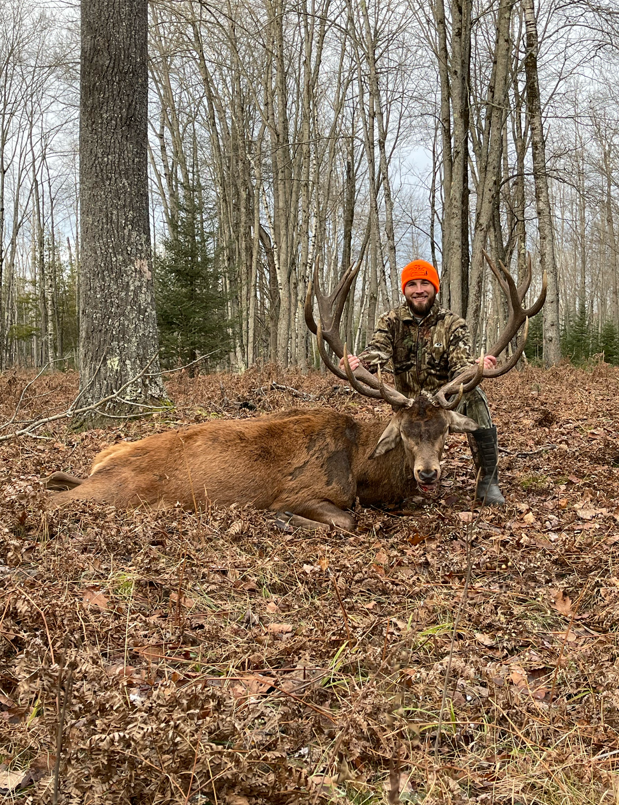 Screenshot 2026-02-13 at 1.59.00 PM.png