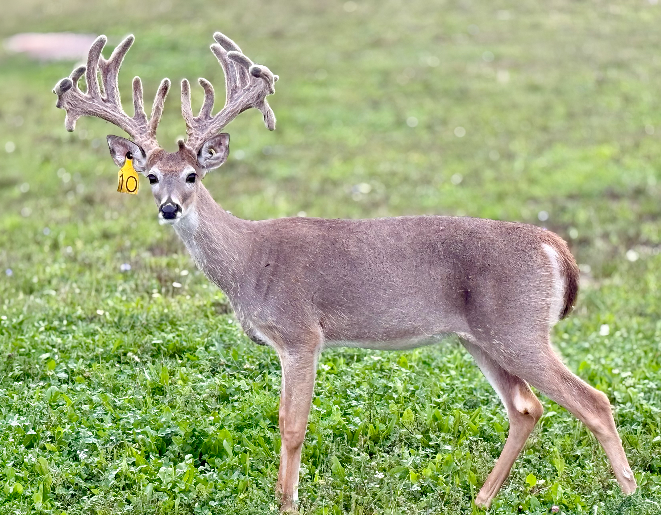 IMG_7199_2.png