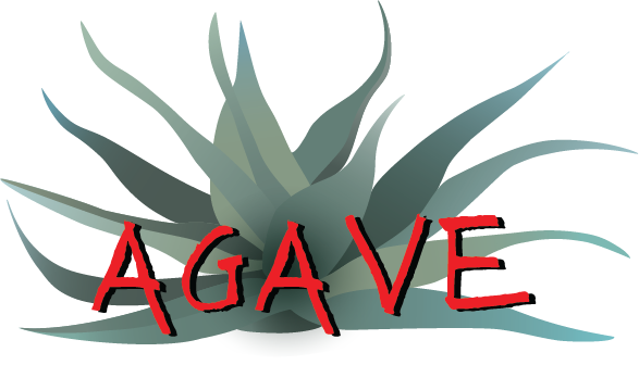 Agave