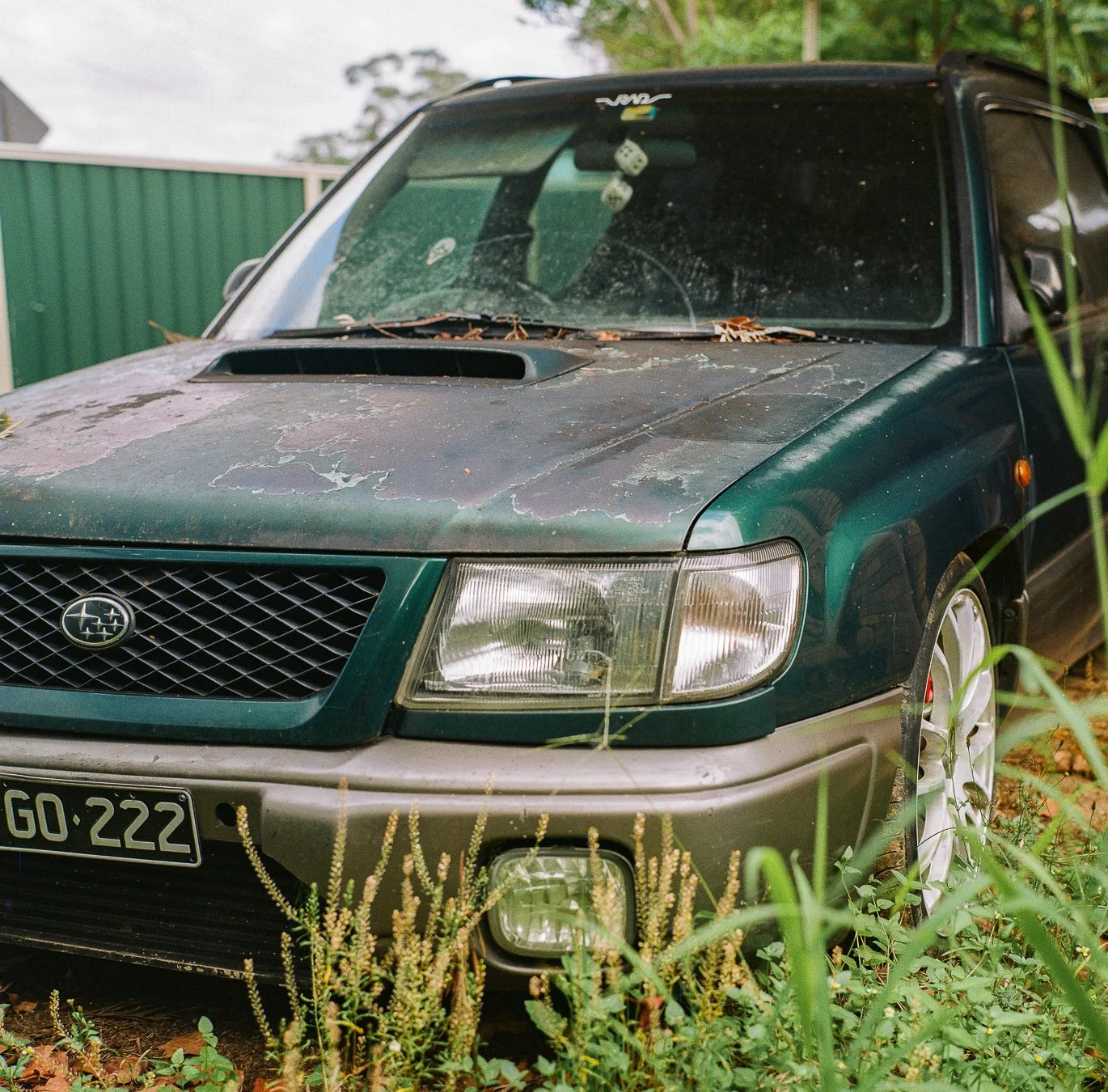 Broinica S2 Gold-06.jpg