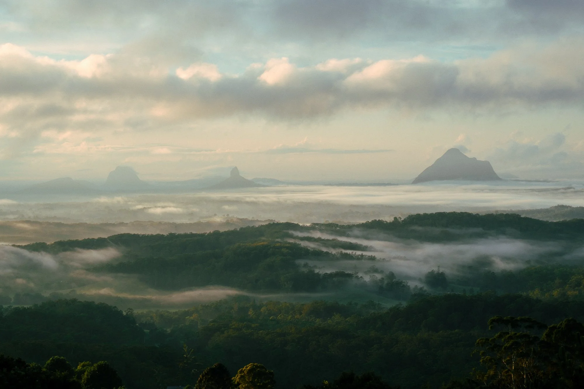 20230128_065102_Melany X-T4-1.jpg