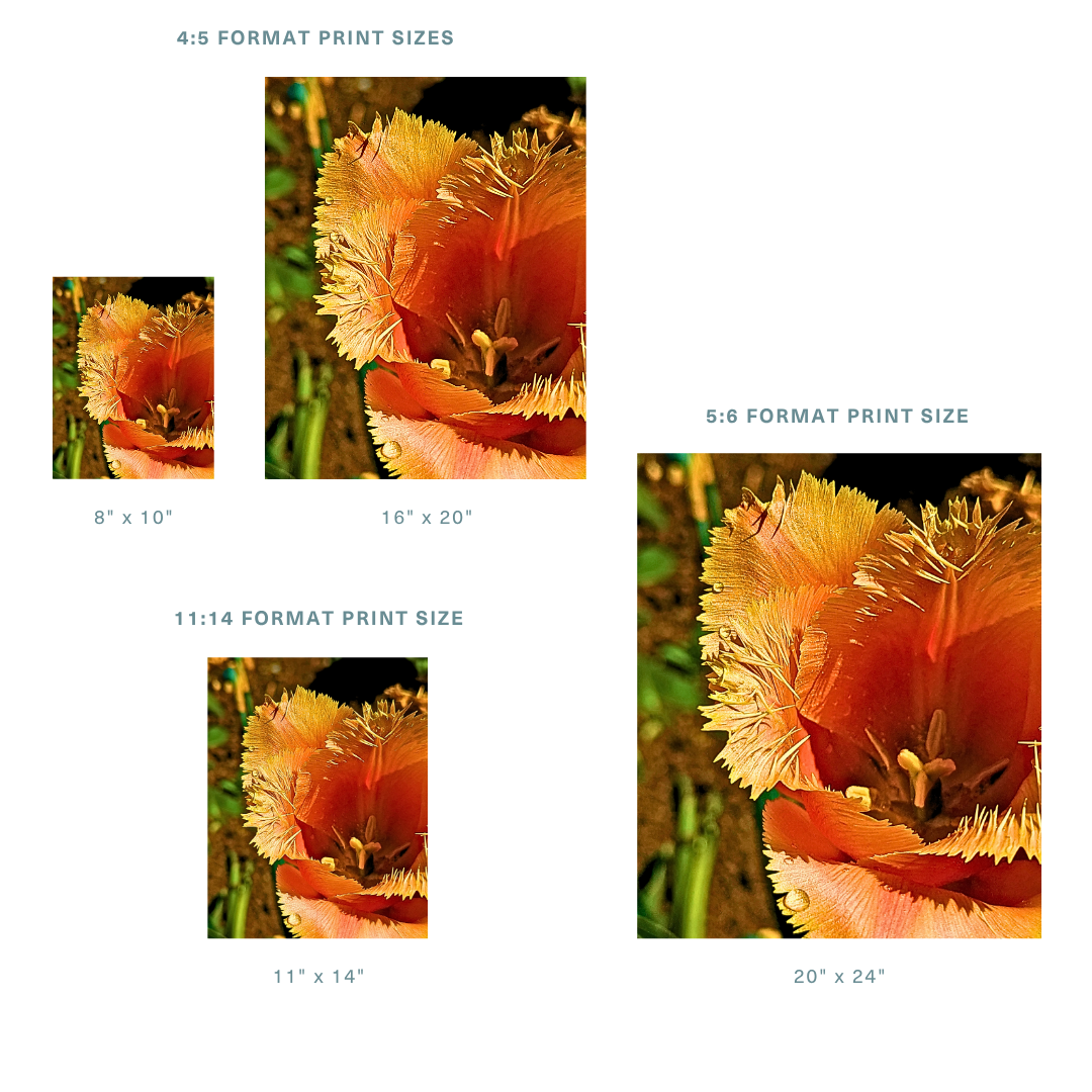13.png