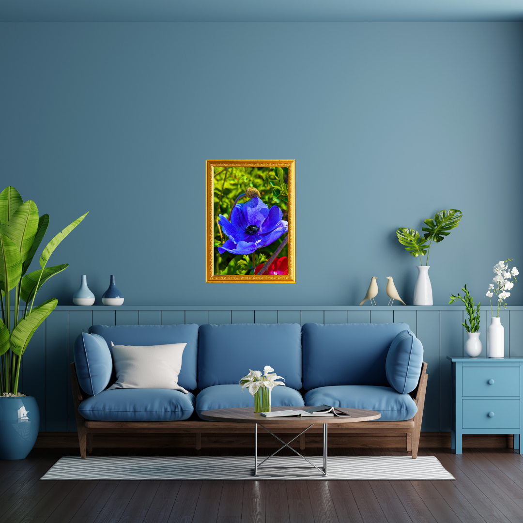 Room Settings - Blue.png