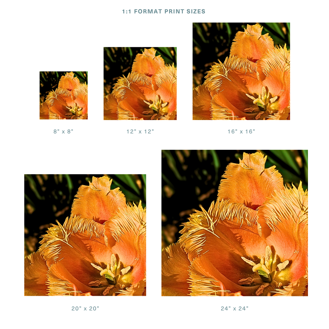 Formats 1.png