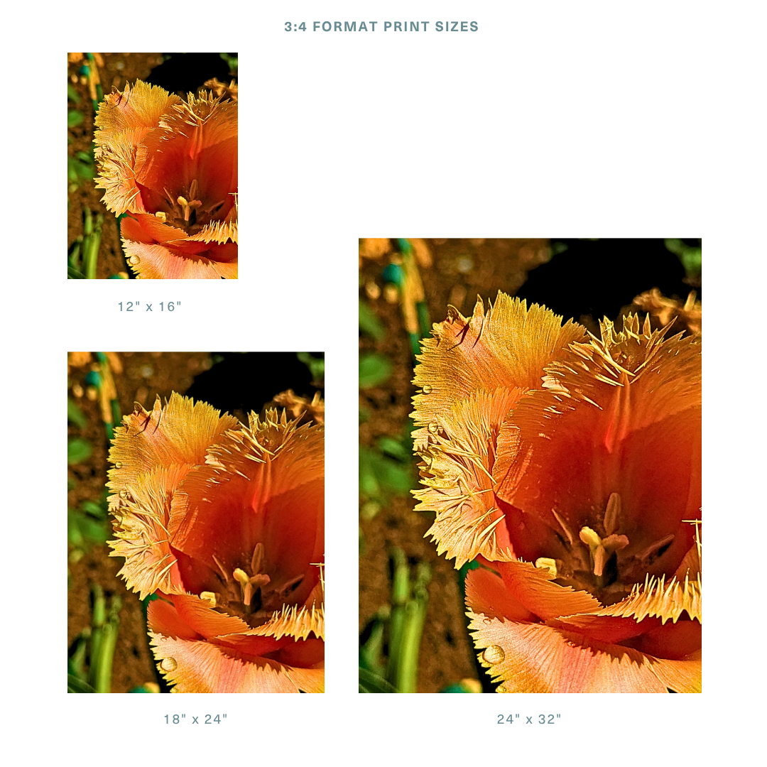 Formats 2.png
