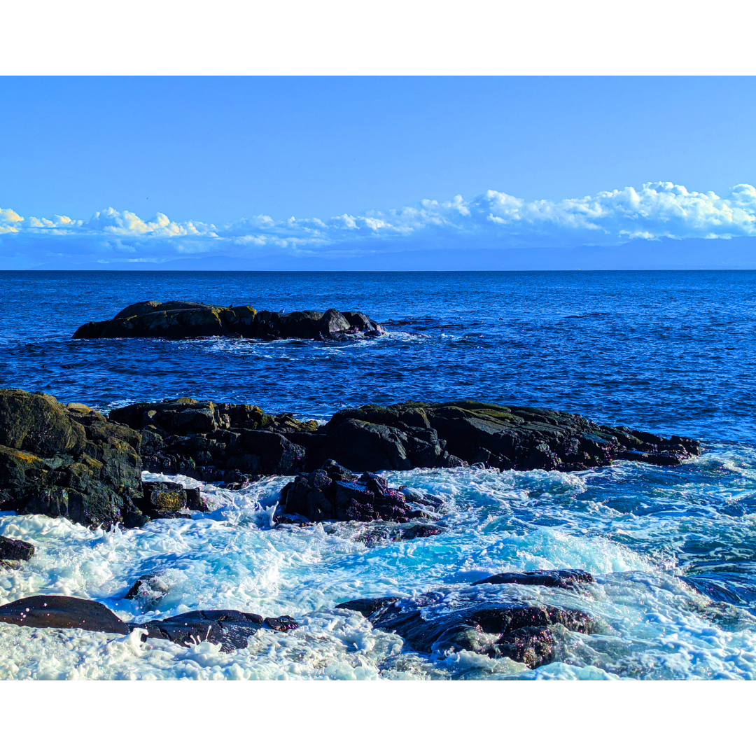 The Rocky Shoreline Breaker