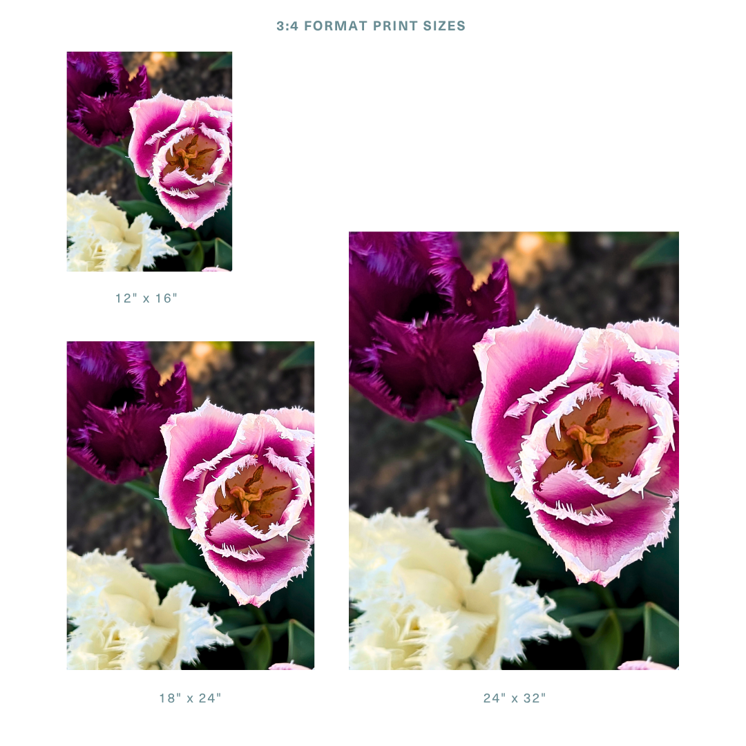 Store 3_4.png