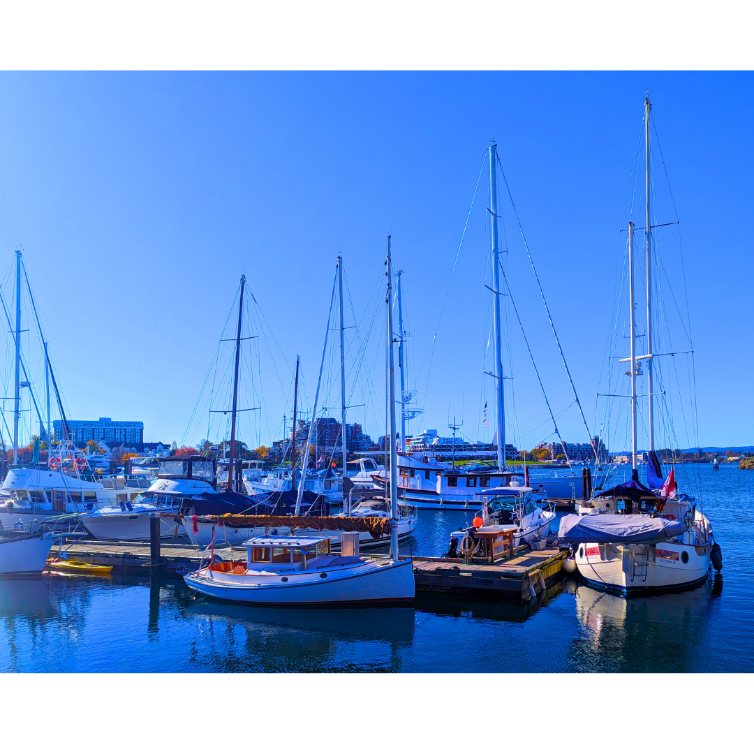 Moored at the Marina