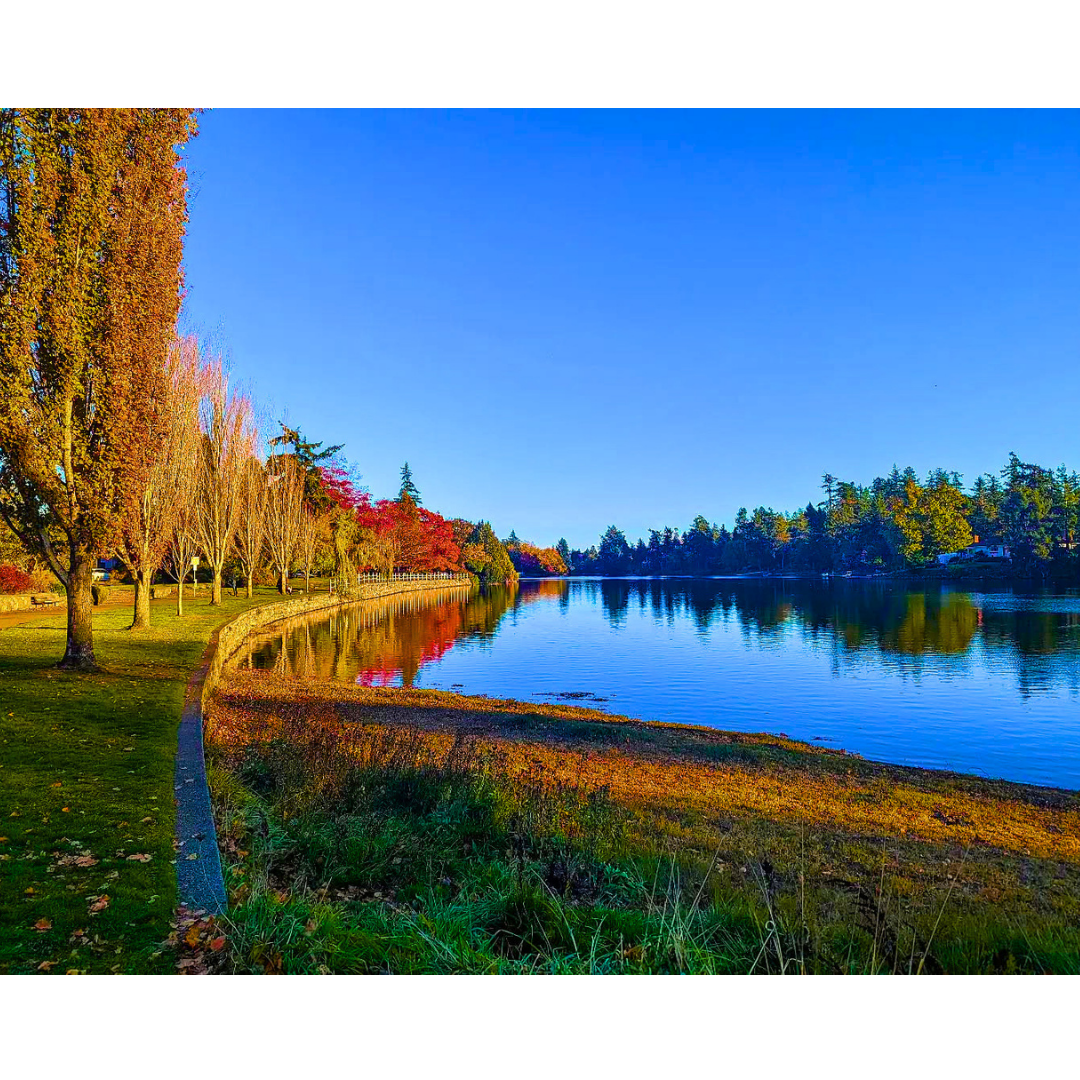 Golden Colonnade by the Water