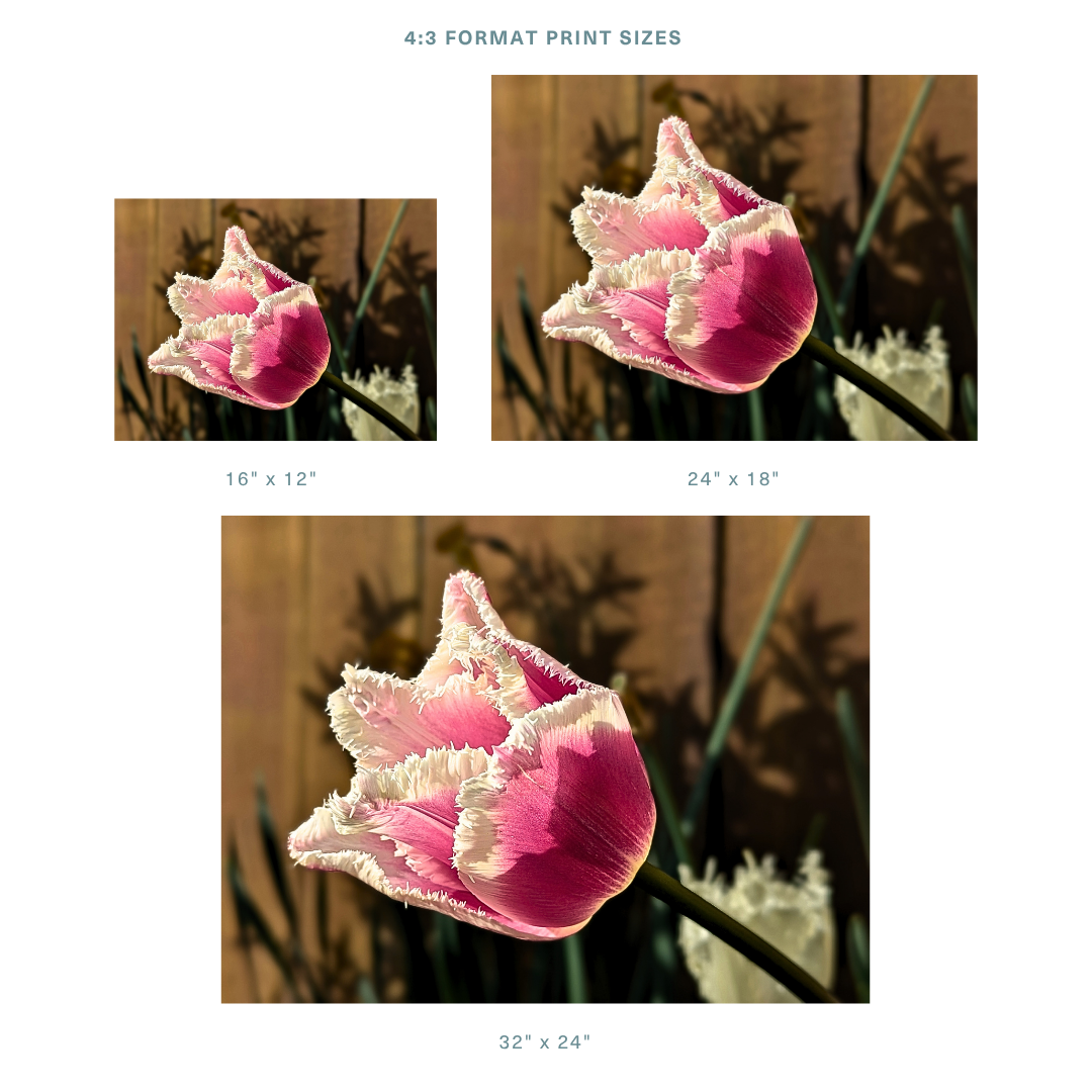 Formats 2.png